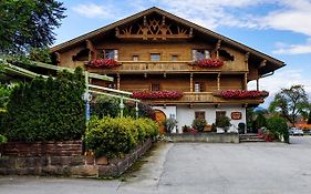 Landgasthof Wilder Mann